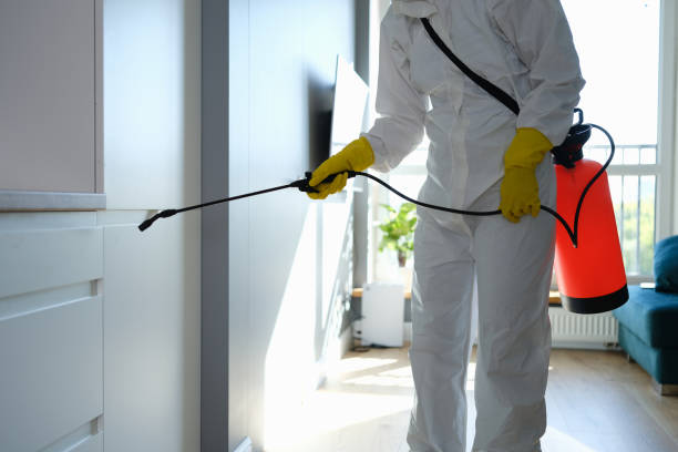 Trusted Livonia, MI Mold Removal Experts